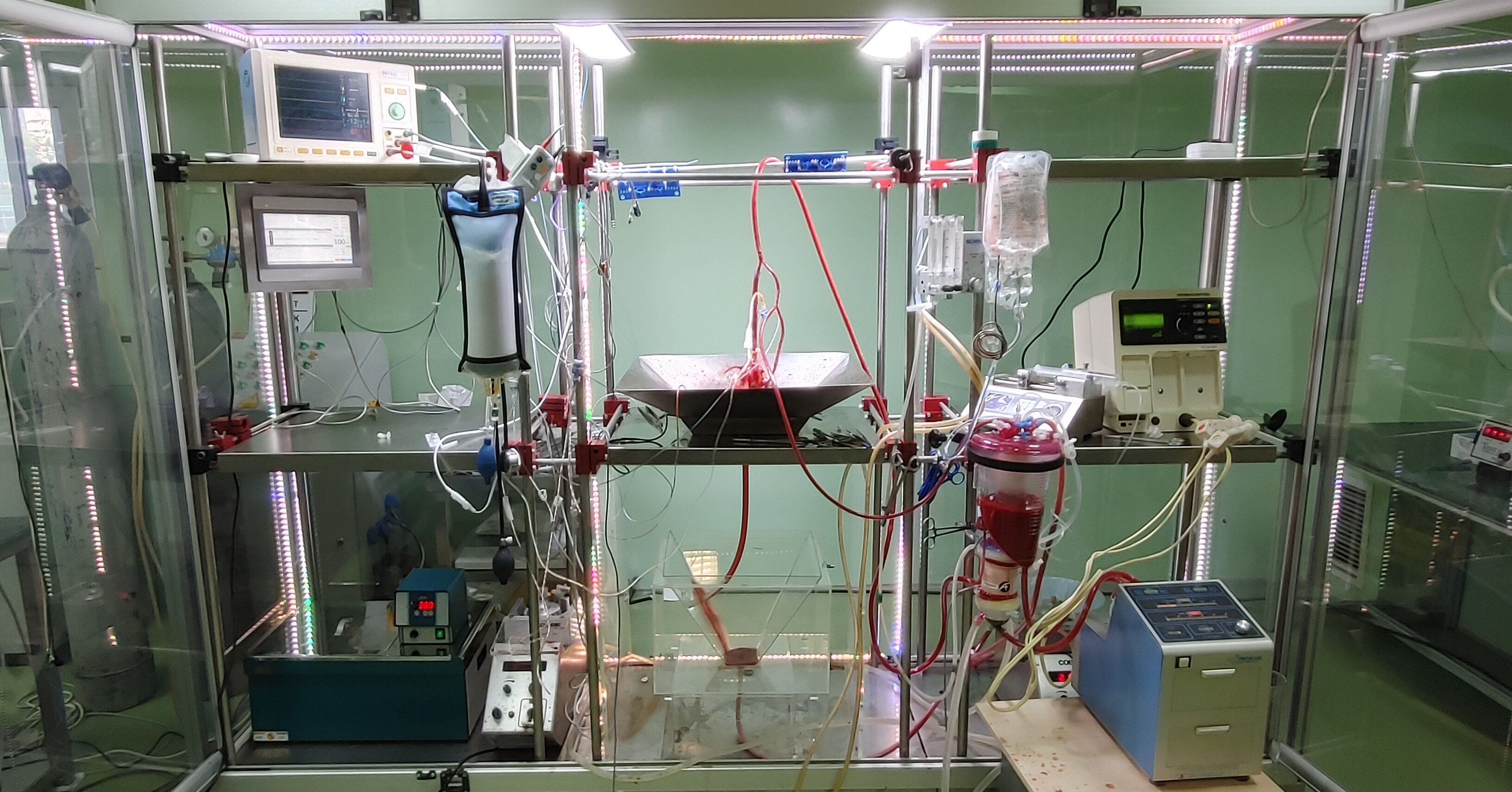 Ex vivo beating heart assay